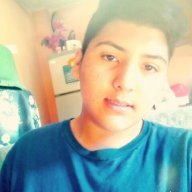 brian17304